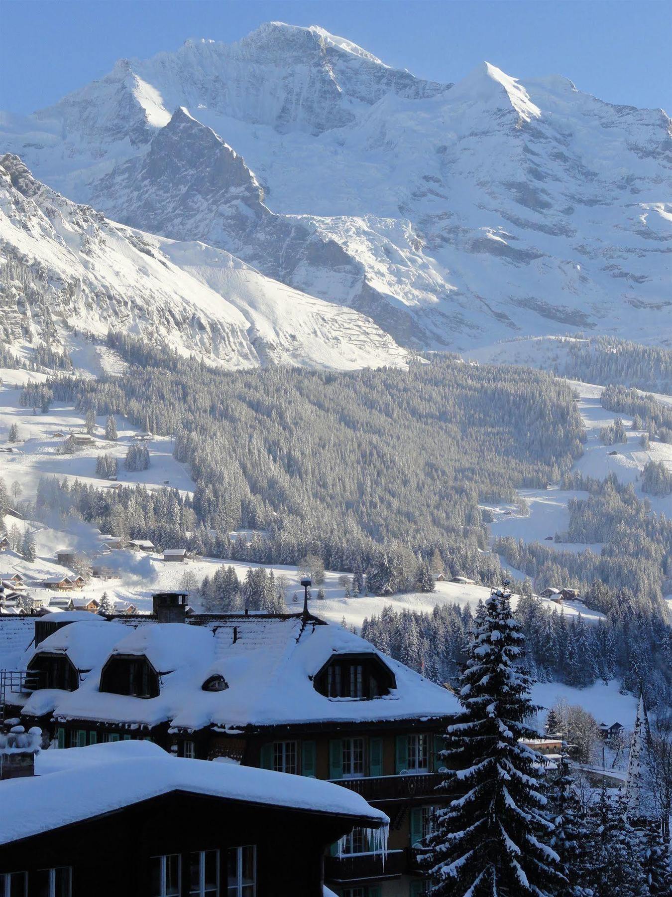 Hotel Alpenruhe - Vintage Design Hotel Wengen Exterior photo
